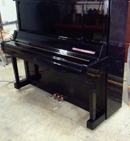 �s�A�m�ʐ^�iUX-5�j