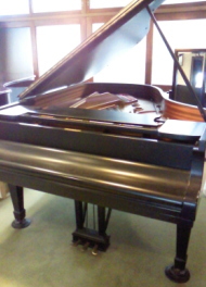 �s�A�m�ʐ^�i�X�^�C���E�G�C�j