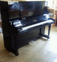 �s�A�m�ʐ^�iUX30BL�j