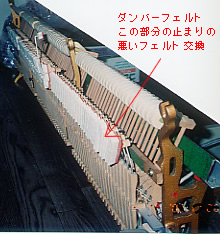 �s�A�m�C��